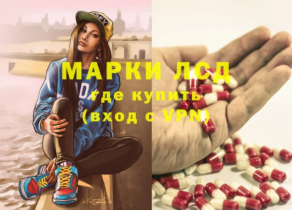 ГАЛЛЮЦИНОГЕННЫЕ ГРИБЫ Алексин