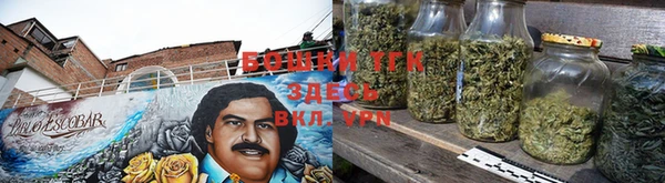 ГАЛЛЮЦИНОГЕННЫЕ ГРИБЫ Алексин