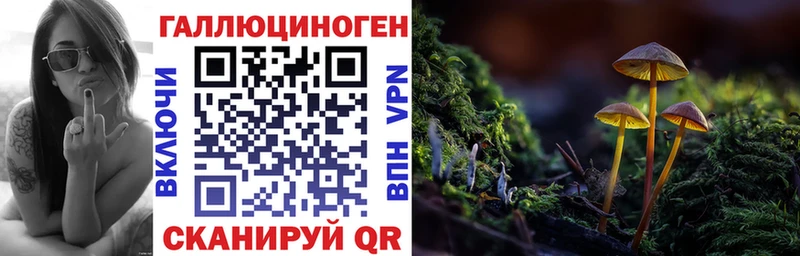 Псилоцибиновые грибы MAGIC MUSHROOMS  Щигры 
