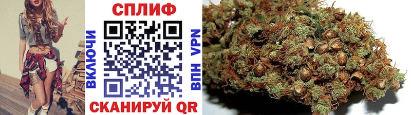 мега tor  Щигры  Бошки марихуана сатива  наркотики 